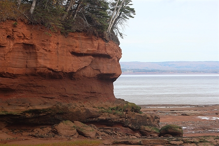 Burntcoat Head is located on the Bay of Fundy in beautiful Nova Scotia.  The Bay of Fundy has the highest tides in the world.  Burntcoat Head has recorded the highest.