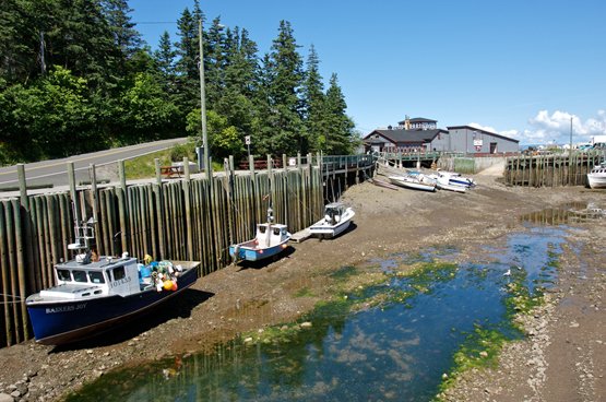 Discover & Experience the Bay of Fundy Tides