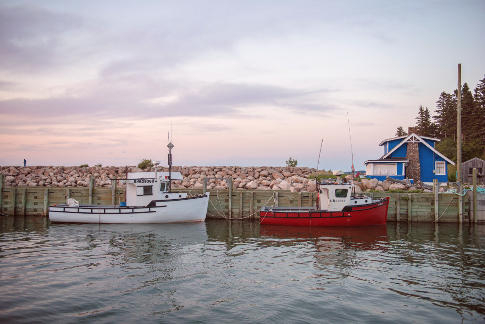 The Bay of Fundy 