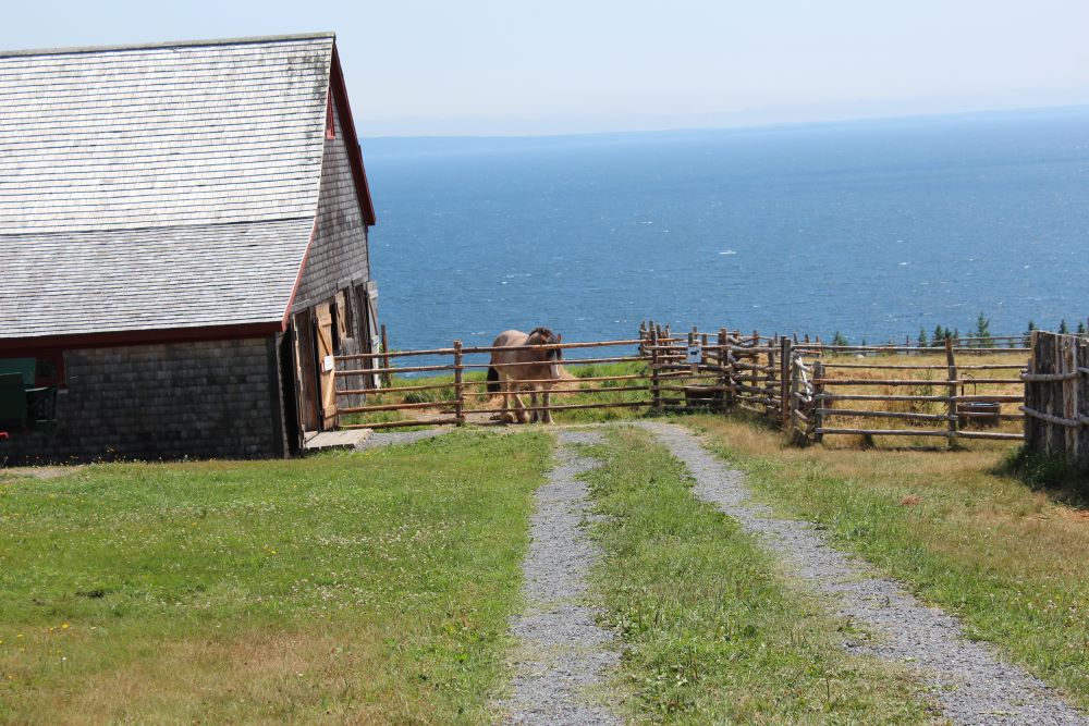 There are magnificent views of the Bras d'Or lake from the Highland Village in Iona, Cape Breton