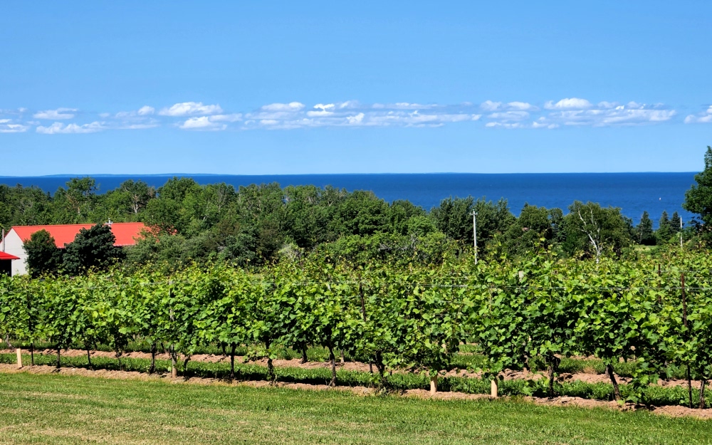 View from the Jost Winery to the Northumberland Strait