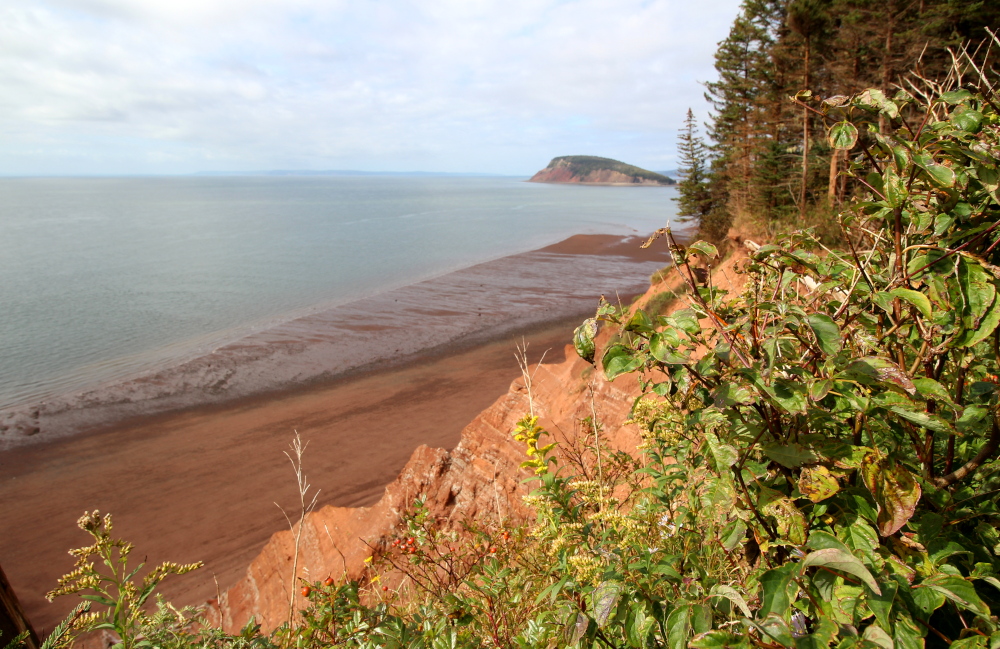 This is one of the first views of the Bay of Fundy on the Red Head hiking trail.  The island in the background is Moose Island.  This is the biggest of the Five Islands in the area.
