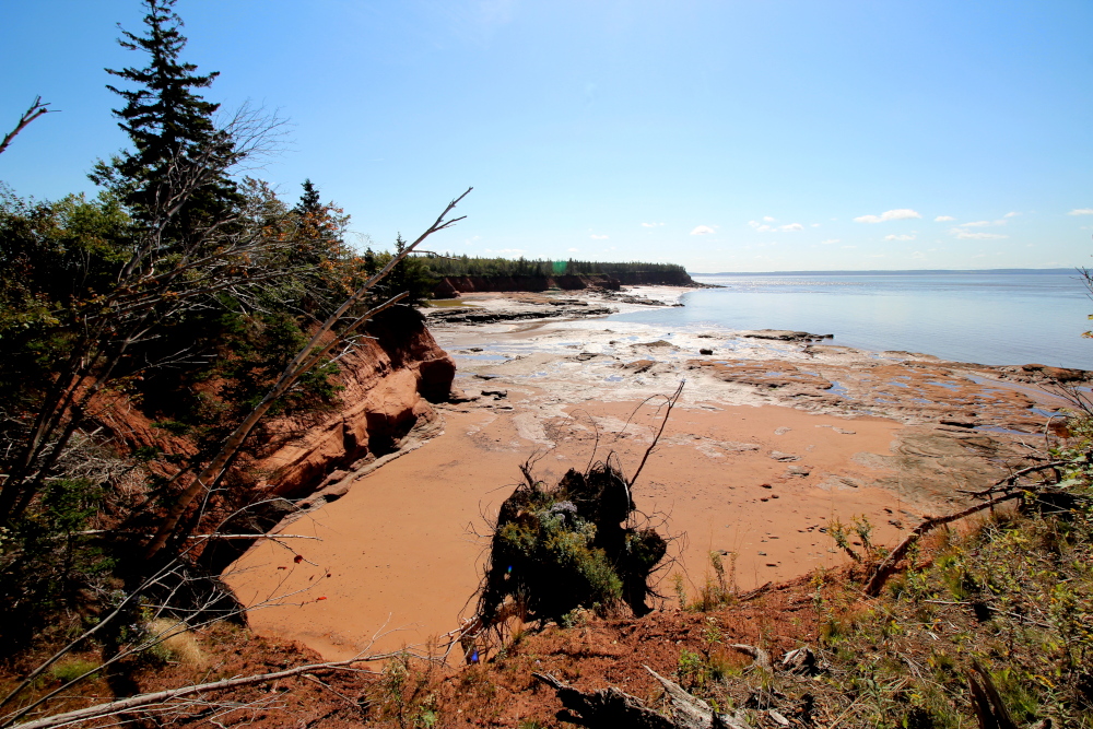 One of the first views along the Thomas Cove trail.  The bay is at low tide.  Notice the red mudflats exposed by the low tide.