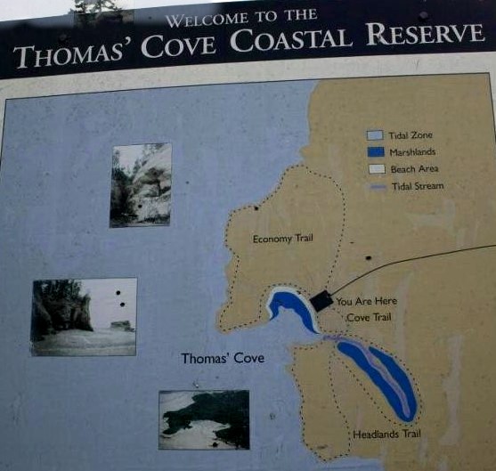 The trail map of the Thomas Cove trail in the Thomas Cove Coastal Reserve which overlooks the Bay of Fundy.  This map is displayed at the trailhead.