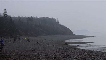 A foggy and rainy day looking for fossils and minerals at Wasson Bluff in Nova Scotia.