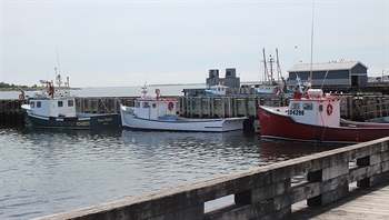 Louisbourg Fishing Boats