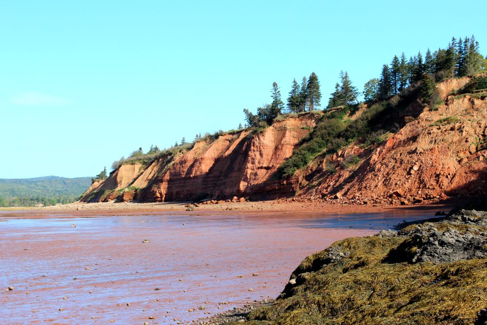These are the cliffs just below the Five Islands Provincial campground.  The constant Bay of Fundy tides erode these cliffs on a regular basis.