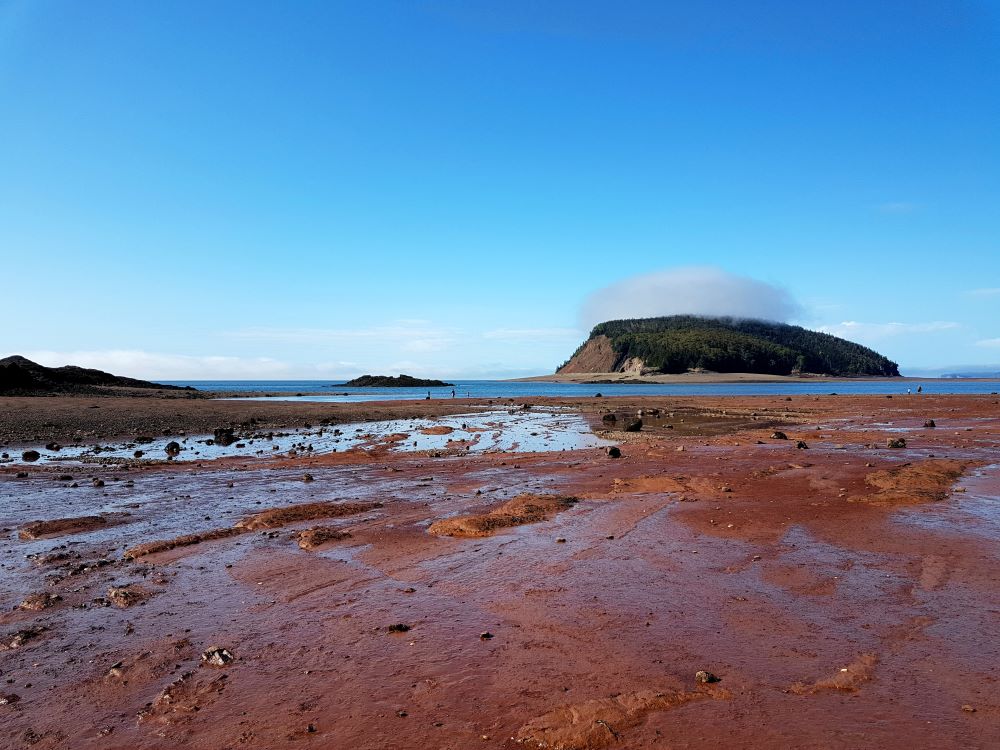 Moose Island is the biggest of the Five Islands.  Low tide exposes the gorgeous red mud at the bottom of the ocean floor.