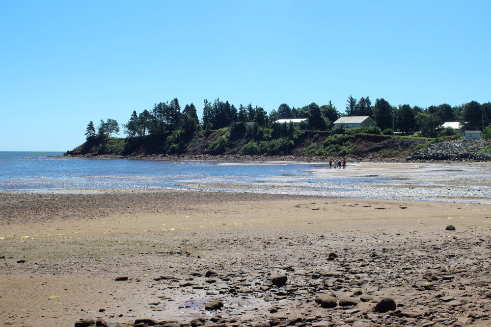 Amherst Shore beach at low tide