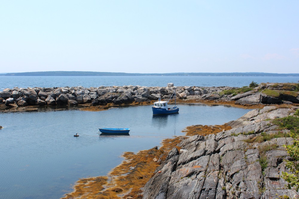 Blue Rocks sits on a beautiful body of water at the entrance to Lunenburg Harbour. It is very calm which ebbs and flows with the tides.