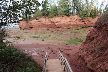 The park at Burntcoat Head is very well organized for the visitor to access the ocean floor at low tide.