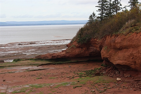 Another great view from Burntcoat Head.  This is Cobequid Bay in the background with the Upper Economy area in the distance.