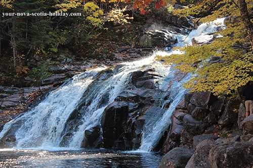 The beautiful MaryAnn Falls are definitely worth a visit.  They'll take you several kilometres into the highlands where you'll only hear the noise of the falls themselves.