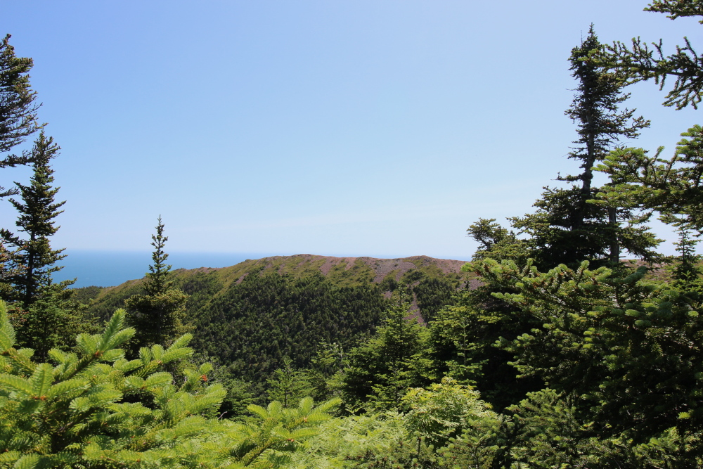 A view of the top of the Kauzmann trail from the trail