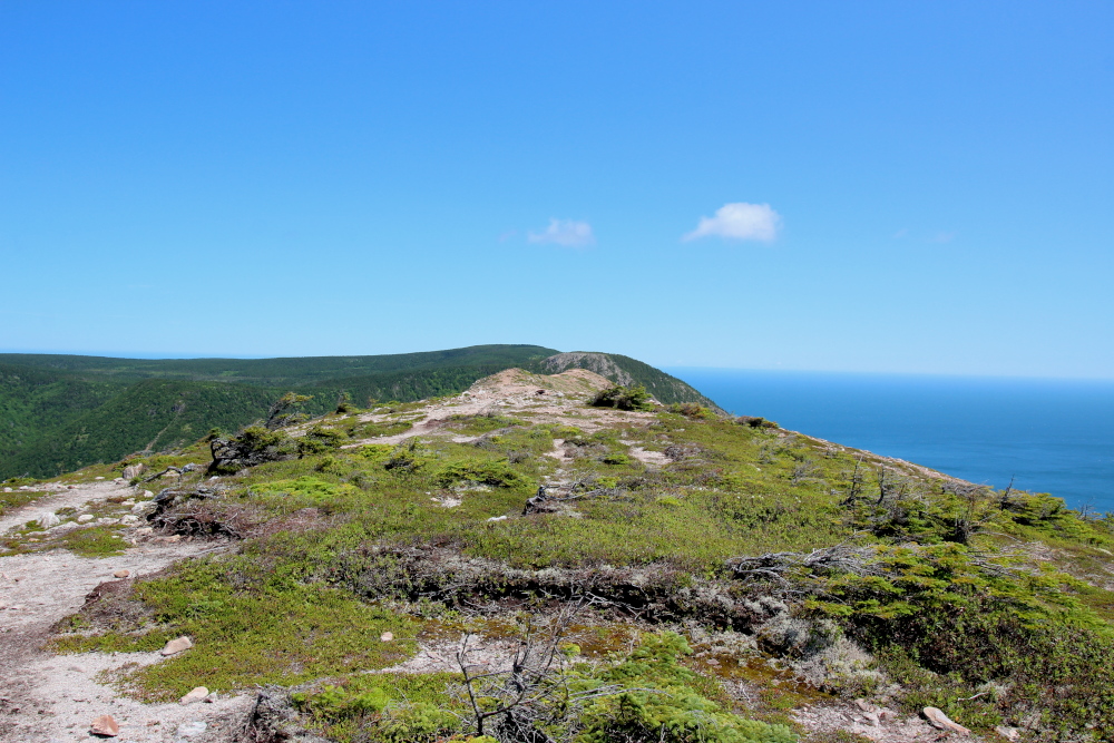 The view as you approach the top of the trail