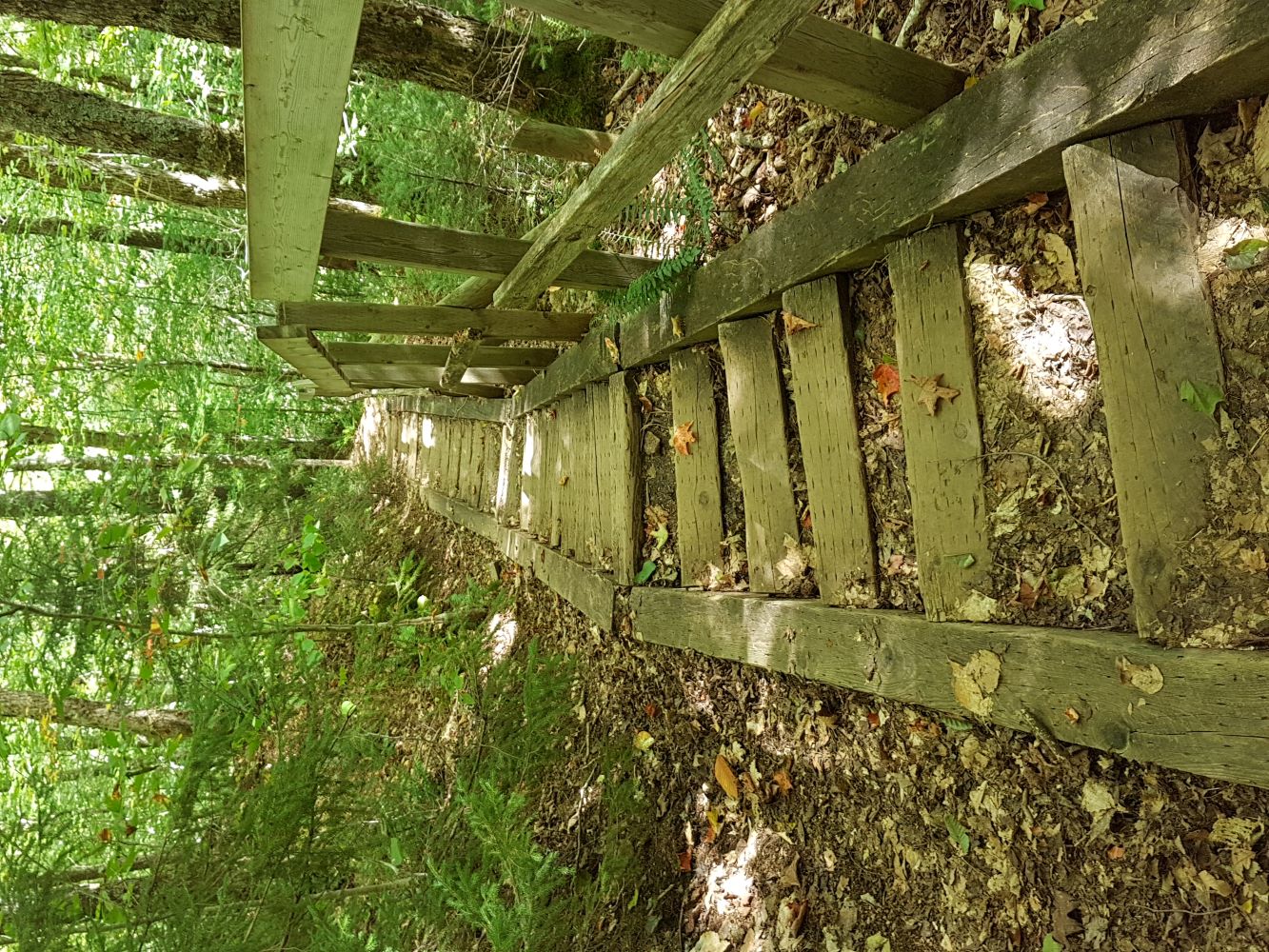 The stairs are steep but solid.  You will feel far away from everything as you descend into this gorge to Economy Falls. An awesome feeling!!