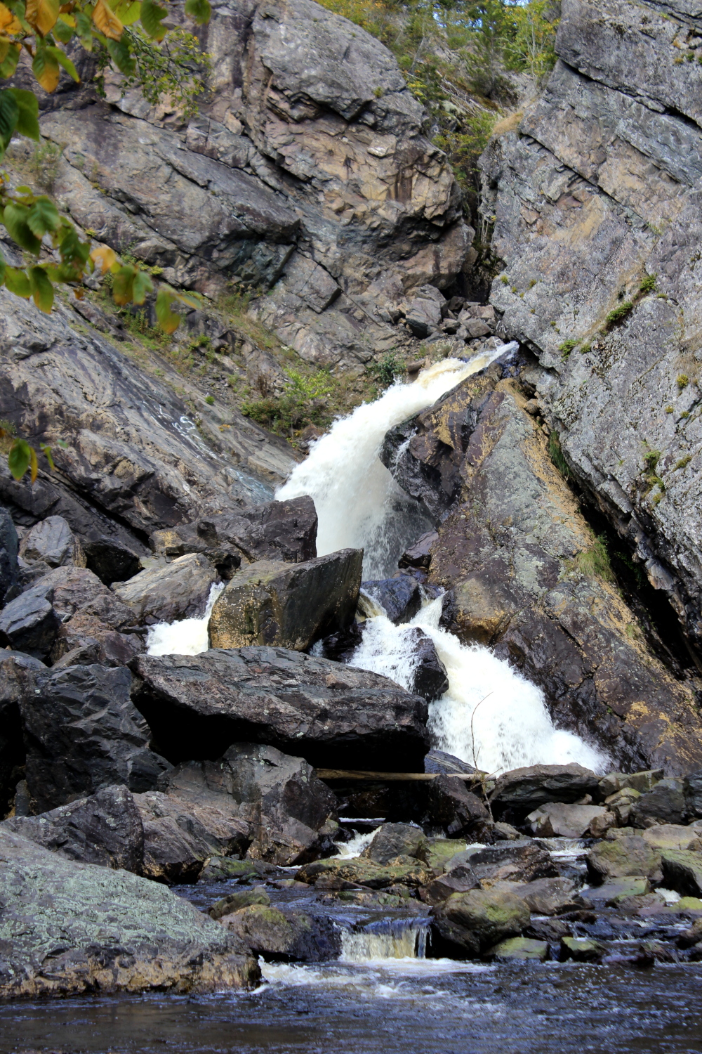 Some of the oldest rock formations in Nova Scotia can be found here. A great spot for geologists to discover and explore.