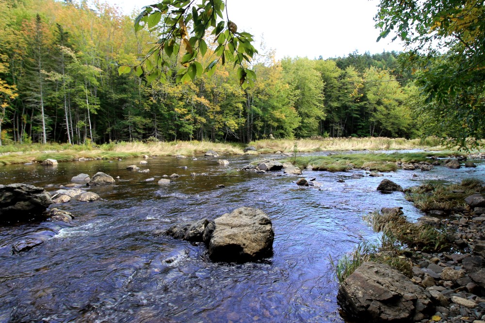The river formed below the falls is gorgeous.  It eventually flows out into the Bay of Fundy via the Economy River.