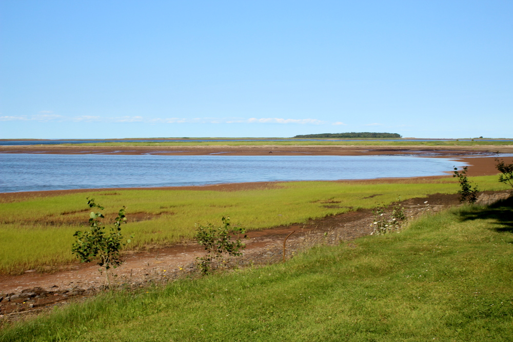 Fox Harbour beach at low tide