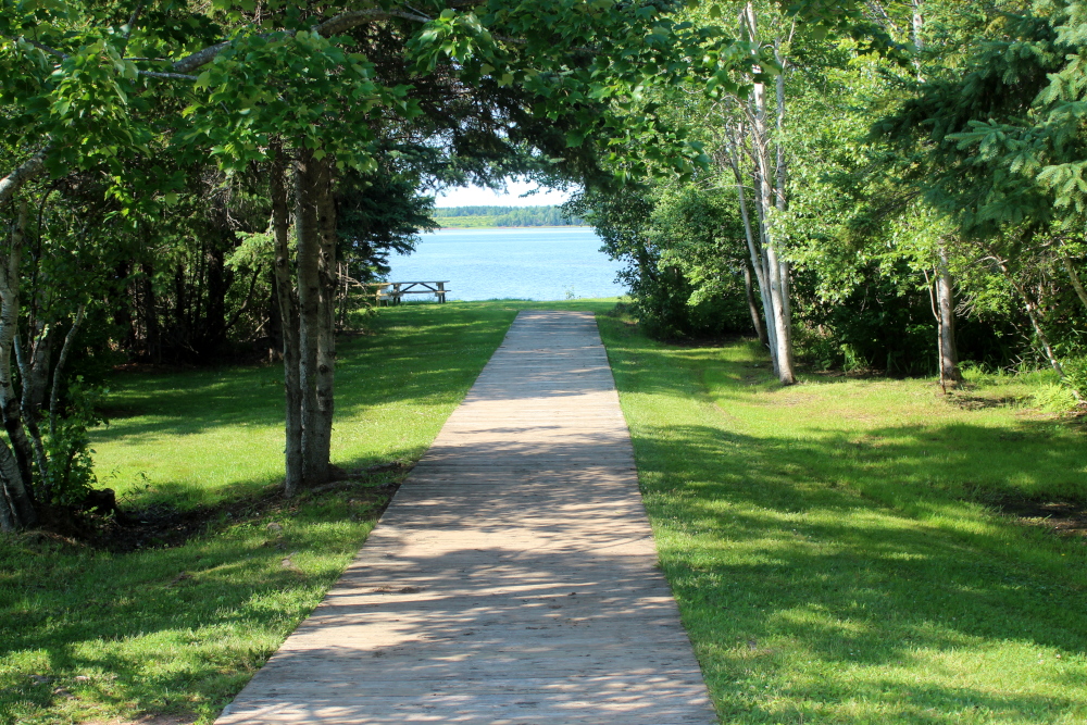 Boardwalk leading to Fox Harbour beach