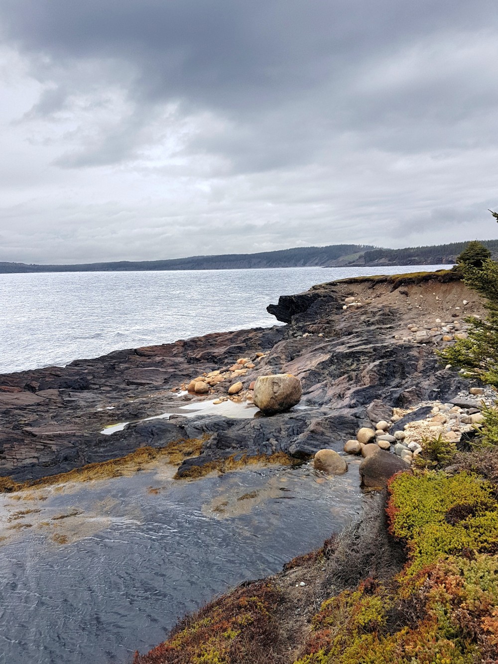 The Gaff Point hiking trail is one of the most scenic spots along the South Shore - Lighthouse Route in Nova Scotia.  The trail is on a gorgeous headland that juts out into the Atlantic Ocean.