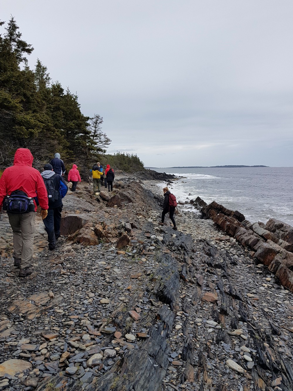 Part of the Gaff Point trail will descend to the coastline.  This is an awesome part of the trail even when it is raining (as it was this day).