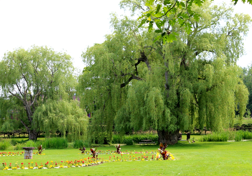 The grounds and gardens at Grand Pré are charming and, almost mystical. A beautiful serene place to send some vacation time.