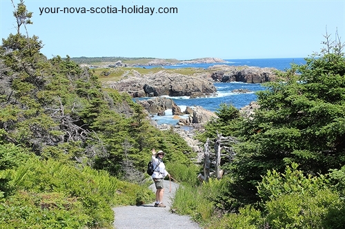 This is a great view of the trail itself.  This is a gentle descent toward the coastline. Louisbourg Lighthouse trail