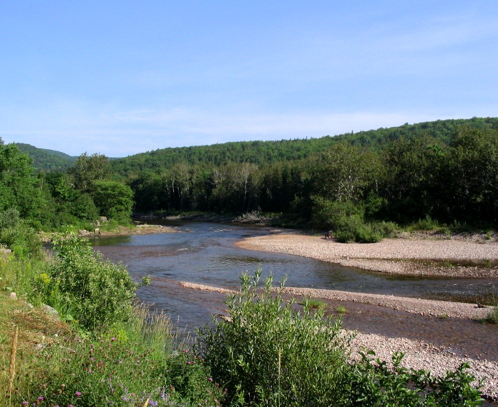 The Margaree River is the best place in Cape Breton for salmon fishing.