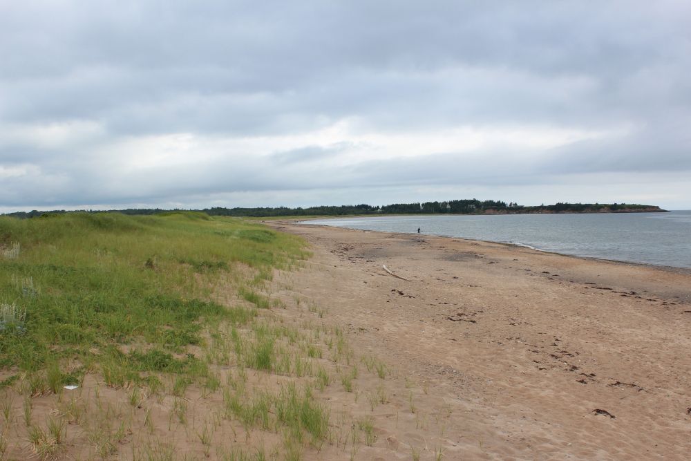 Melmerby Beach is probably the most visited beach along the Northumberland Shore.