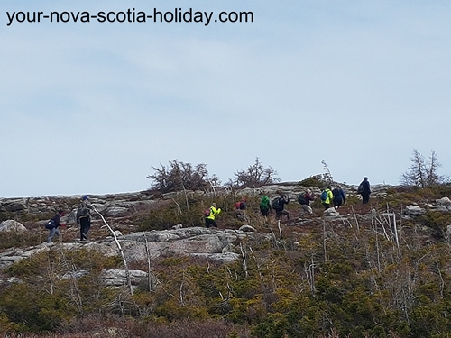 The Mica Hill hiking trail is a gradual climb on the plateau in the Cape Breton Highlands National Park