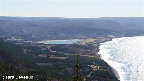 This is the view of Bay of St. Lawrence as you climb the mountain to get to Money Point on the other side.