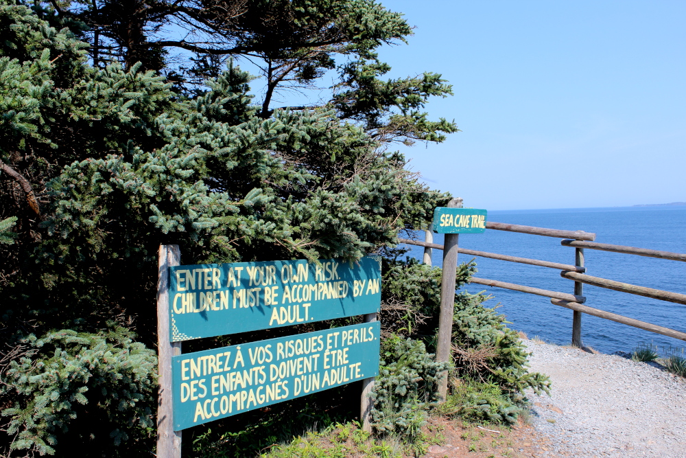 The Sea Caves trail starts immediately by overlooking the Atlantic Ocean.  The views of the ocean and the coastline along this trail are gorgeous.