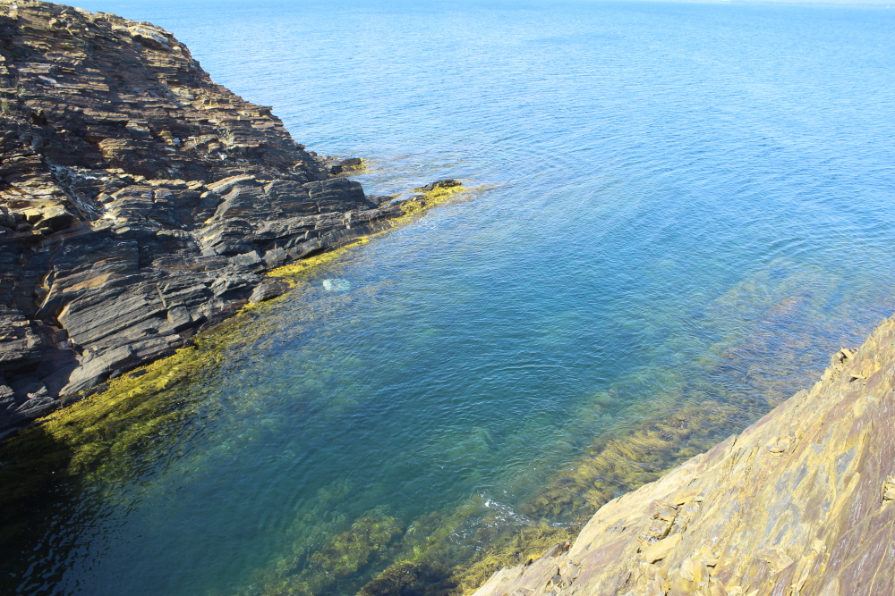 You will get very close to the ocean on the Sea Caves trail.  The ocean is beautiful as the various rock colours reflect in the water.