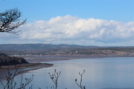 A great view of the Parrsboro coastline from the Partridge Island hiking trail.  This is also the Bay of Fundy.....so it looks like low tide!