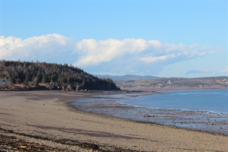 This is the beach that will lead you to the hiking trail on Partridge Island (Parrsboro, Nova Scotia). Do you like fossil hunting and beachcombing?  This beach is the perfect place!
