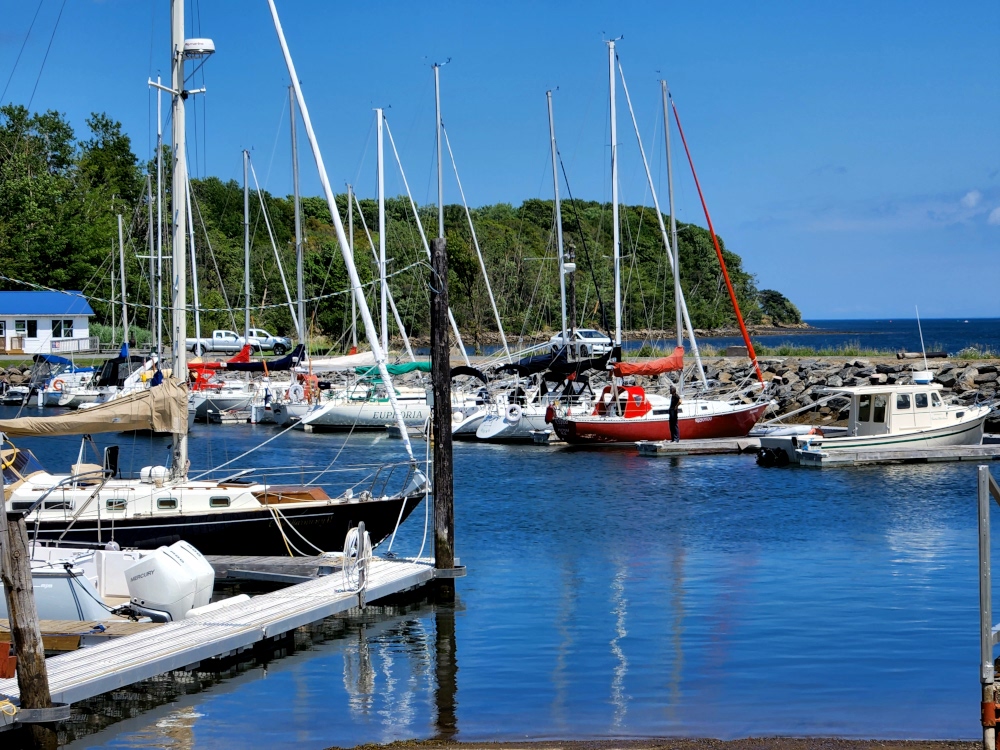 Pictou Marina