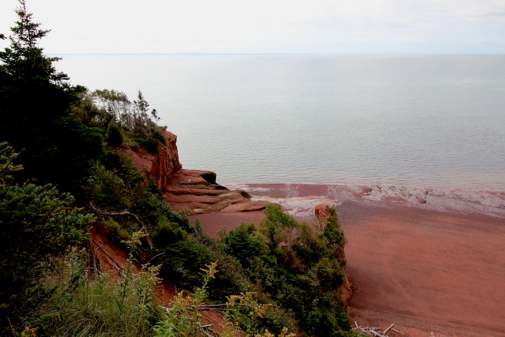 A great view of the red sandstone cliffs from the Red Head trail.  These cliffs are continually shaped by the incoming and outgoing tides of the Bay of Fundy.
