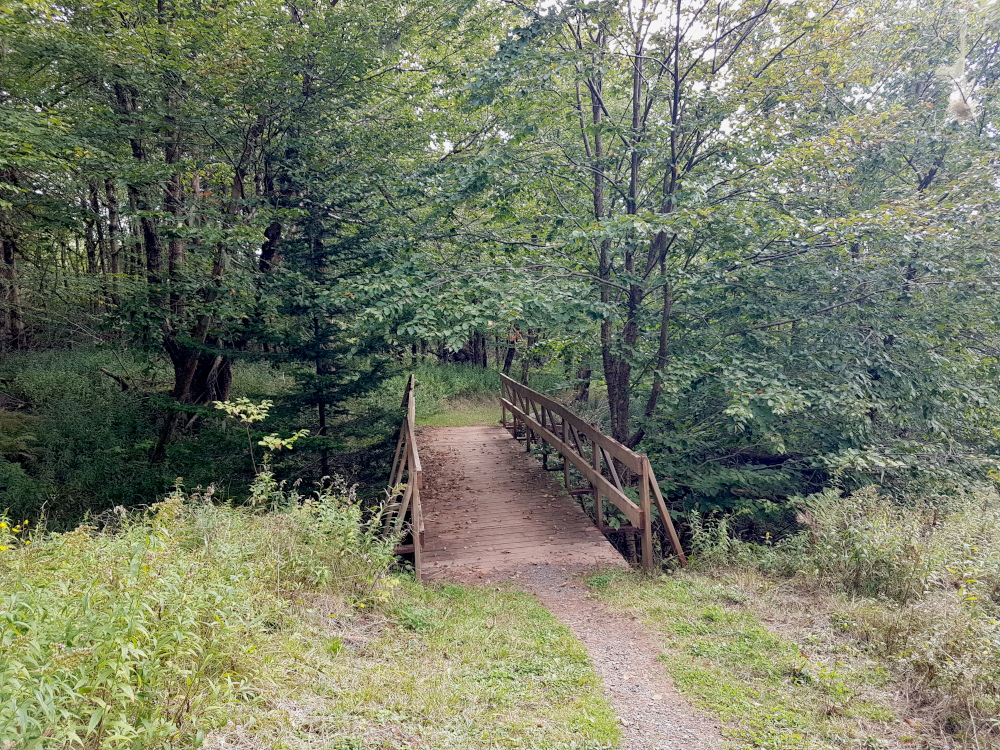 The Red Head hiking trail is very well-maintained with several bridges along the trail.