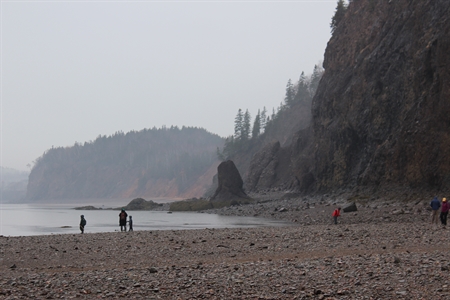 The beach at Wasson Bluff is full of treasures.  The rocks here are millions of years old.  They are rich in fossils and minerals.  The cliffs are constantly being eroded by the Bay of Fundy tides.