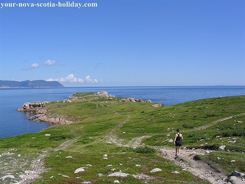 A great picture of the hiking trail on the cliffs at White Point in northern Cape Breton.