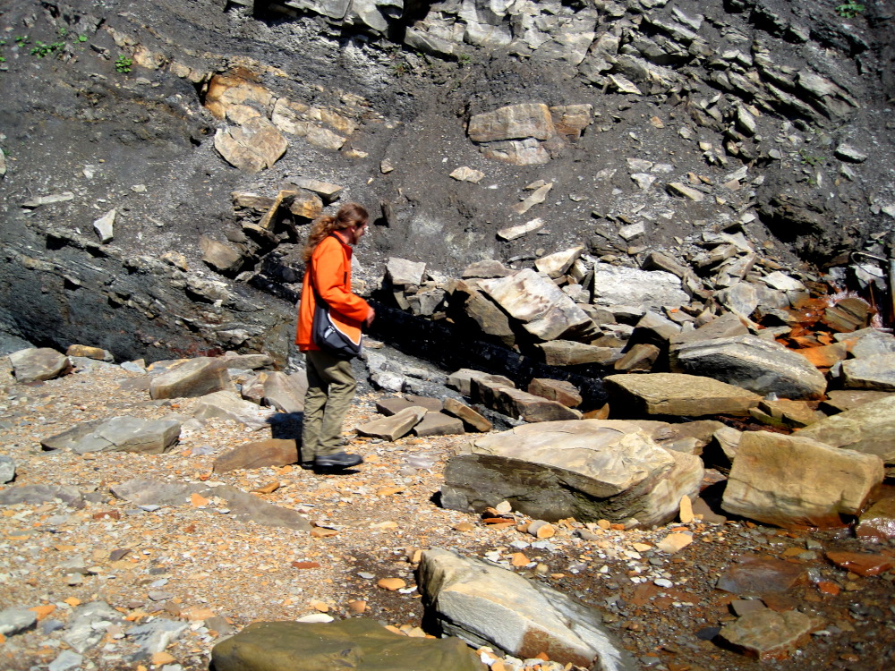 The Joggins Fossil Cliffs were inscribed on the UNESCO World Heritage List in July 2008.